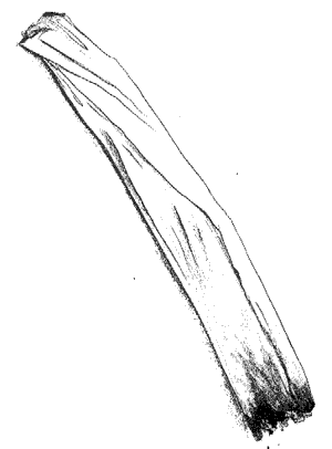 http://www.eyesthatsee.com/rvw/img/joint.gif